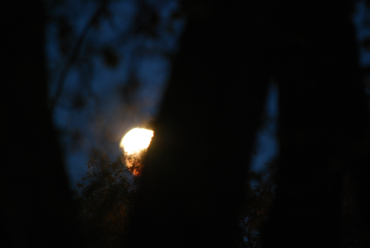 Blood moon lunar eclipse Winnipeg