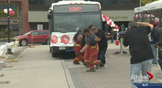 WATCH: Okanagan Residents Pull Buses for Good Cause | Globalnews.ca