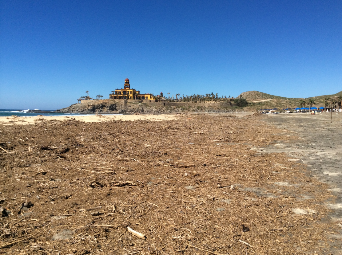 Photos of cleanup in Los Cabos following hurricane show extent of
