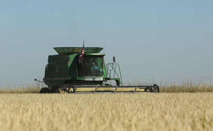 Rain and cool temperatures cause some delays as the 2015 harvest continues across Saskatchewan.