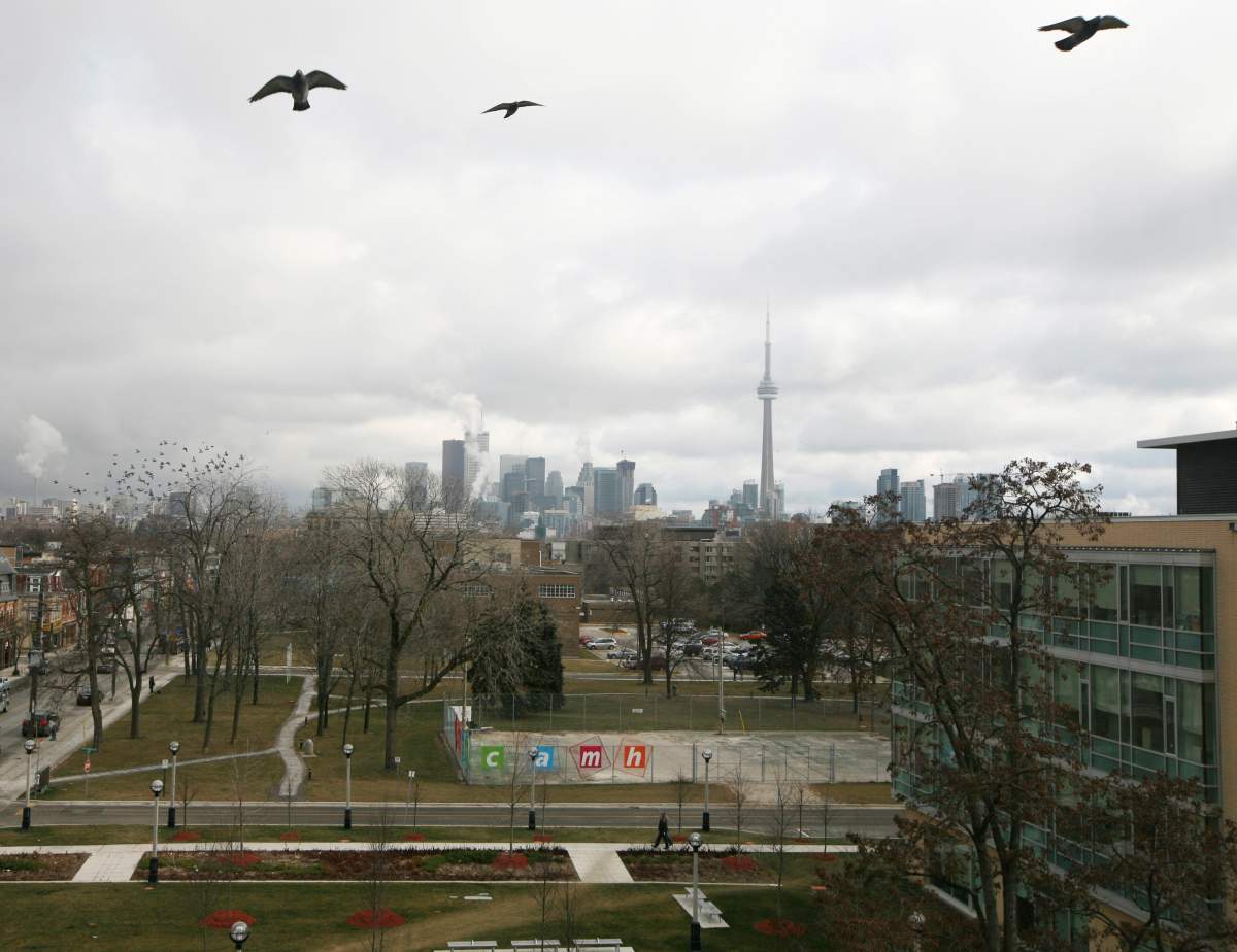 View of the new CAMH buildings photographed from the Great Hall. 