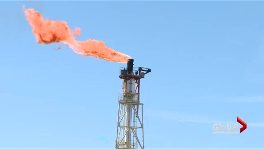 Canaport liquefied natural gas facility in New Brunswick pleaded guilty to killing 7,500 birds that flew into a flare burning at the plant.