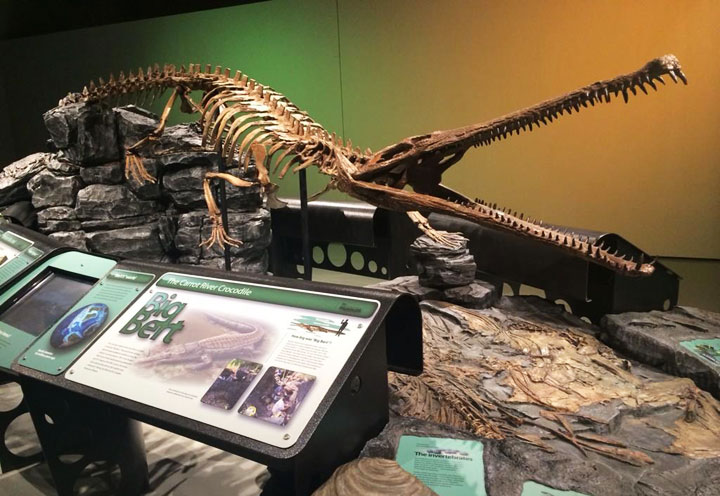 An ancient crocodile skeleton exhibit is visiting the Western Development Museum in Saskatoon.