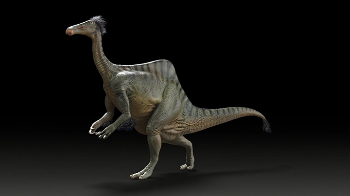 A 50-year-old mystery involving poachers and missing dinosaur bones has been solved by an international team of paleontologists, including one from the University of Alberta.