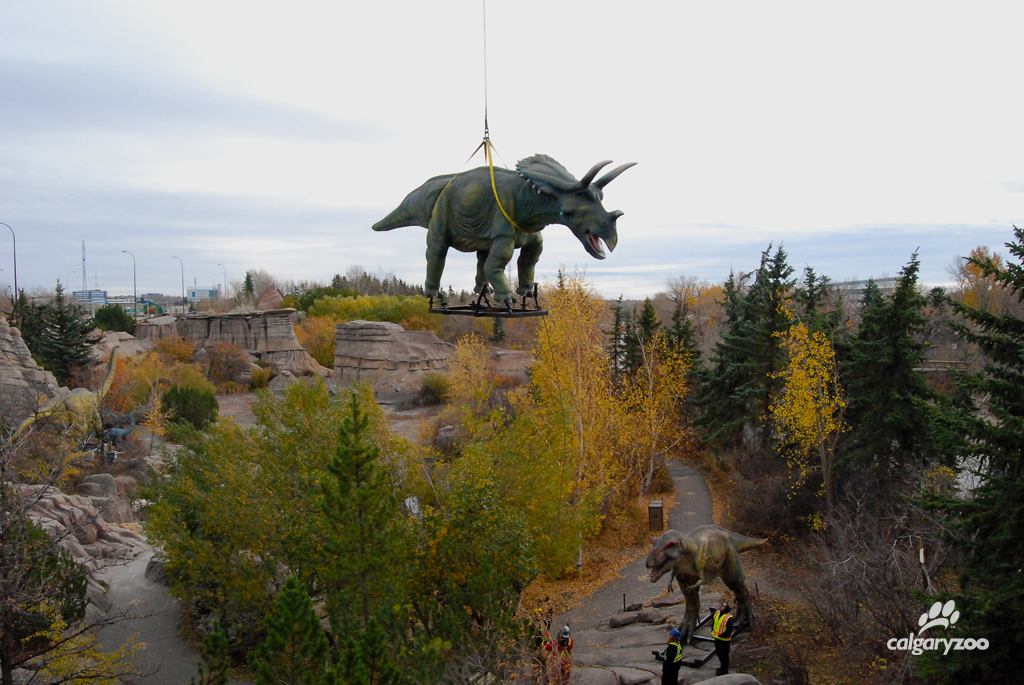 One of five animatronic dinosaurs delivered to the Calgary Zoo Sunday.