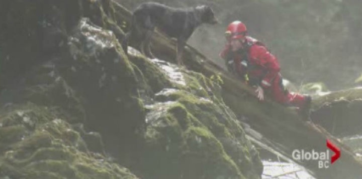 Woman, two dogs rescued in Lynn Creek - image