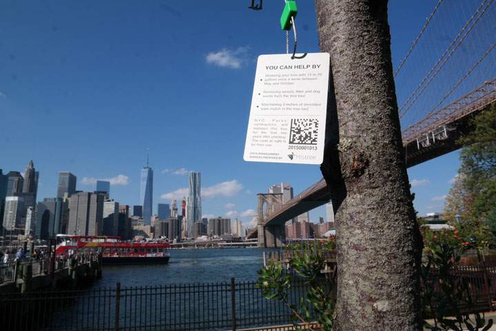 Edmonton based Nektardata is placing 25,000 GPS based tags on New York trees