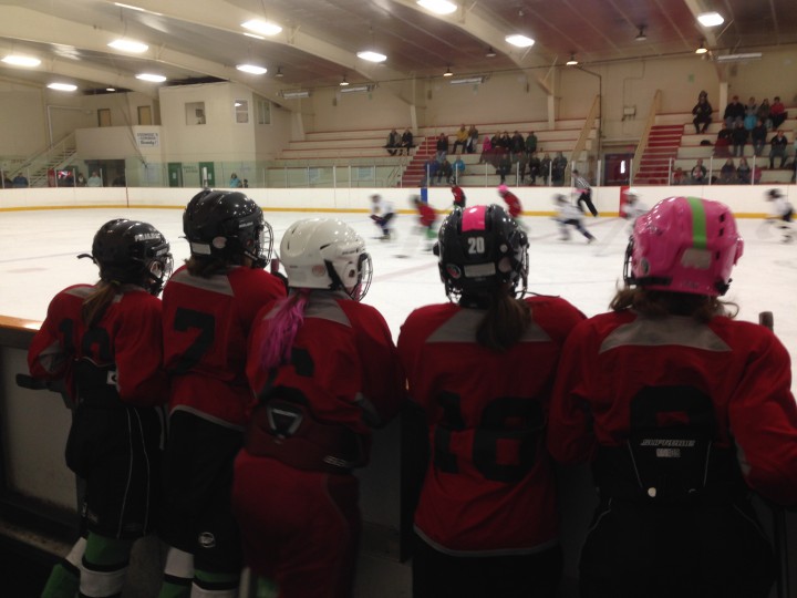 The Chebucto/Tasa Atom A female team watches their teammates play against the Bedford Blues in a World Girls' Hockey Weekend long game.