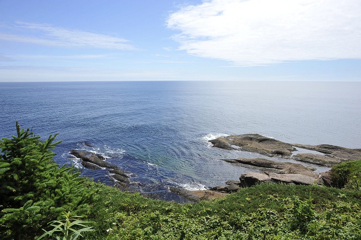 A photo taken on Bonaventure Island, situated in the Gulf of St. Lawrence.