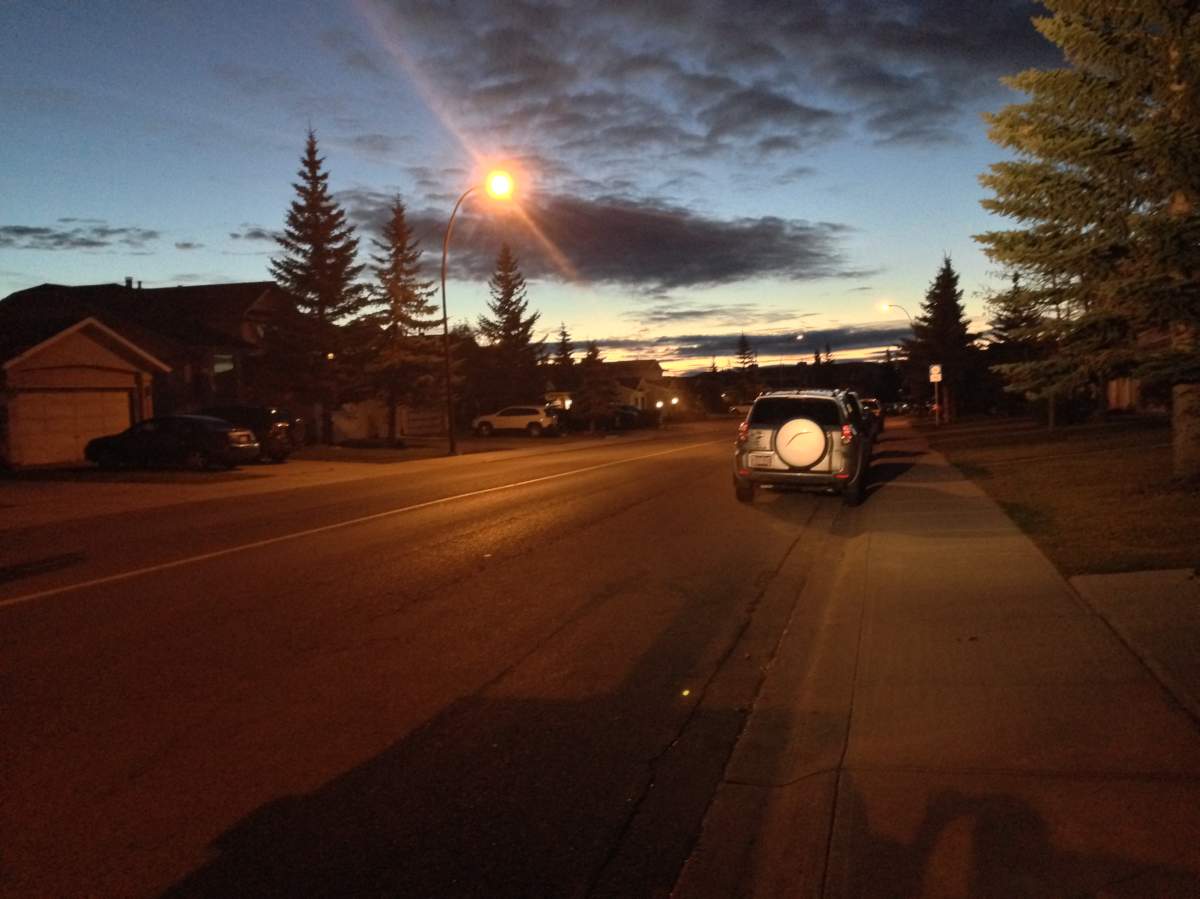 Calgary police investigate alleged grabbing attempt.