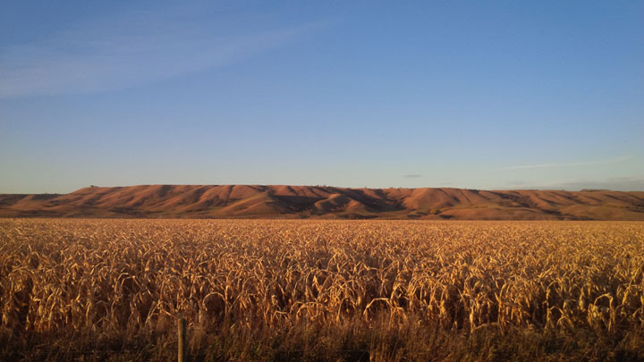 Oct. 15: This Your Saskatchewan photo was taken by Aurielle Bleau east of Crooked Lake.