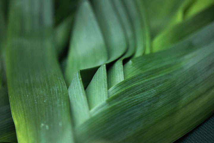 Leeks are pictured on Oct. 9, 2013.