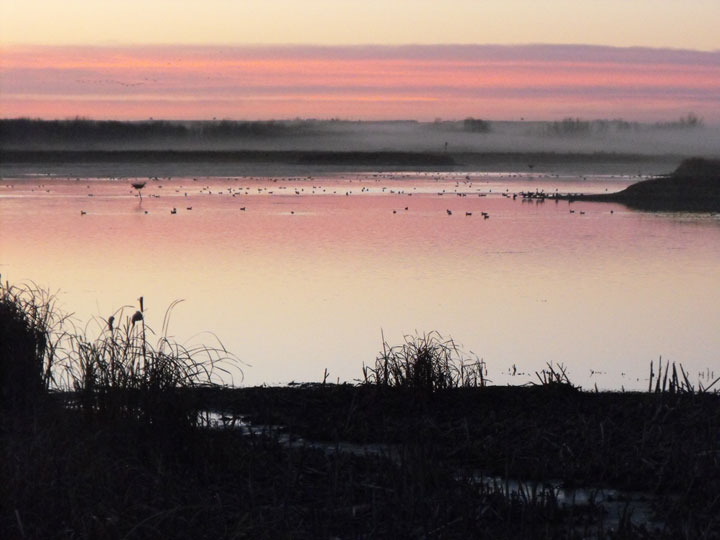 Oct. 26: This Your Saskatchewan photo was taken by Heather Keller at the North Battleford bird sanctuary.