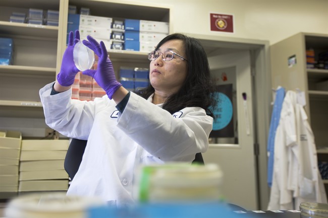 In this Thursday, Feb. 28, 2013 photo, Merck scientist Meizhen Feng conducts research.