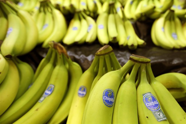The worldwide banana crop is under serious threat, according to a new study.