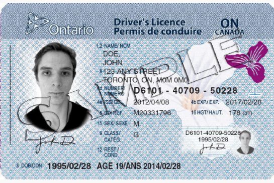 Ontario extends driver’s licence swap with Ireland - image