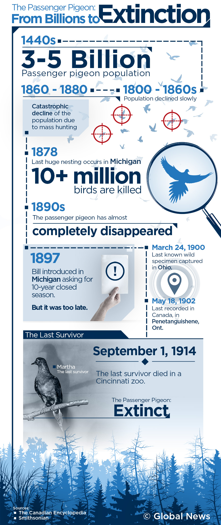 The great disappearance of the passenger pigeon – and a comeback? - image