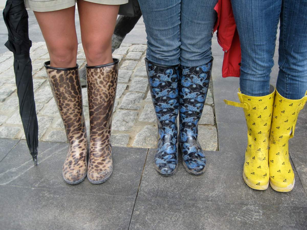 Rain rain go away - image