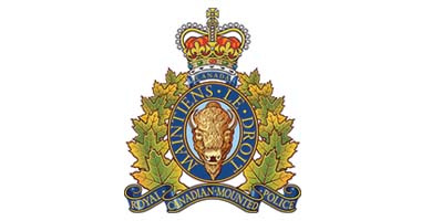 RCMP investigate violent killing of two cats near Strathmore - image