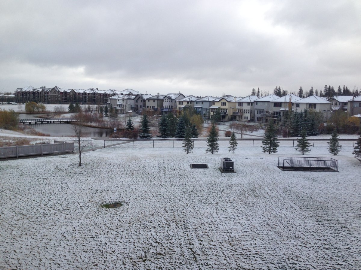 Edmonton is hit with its first snowfall of the season, Monday, October 27, 2014. 