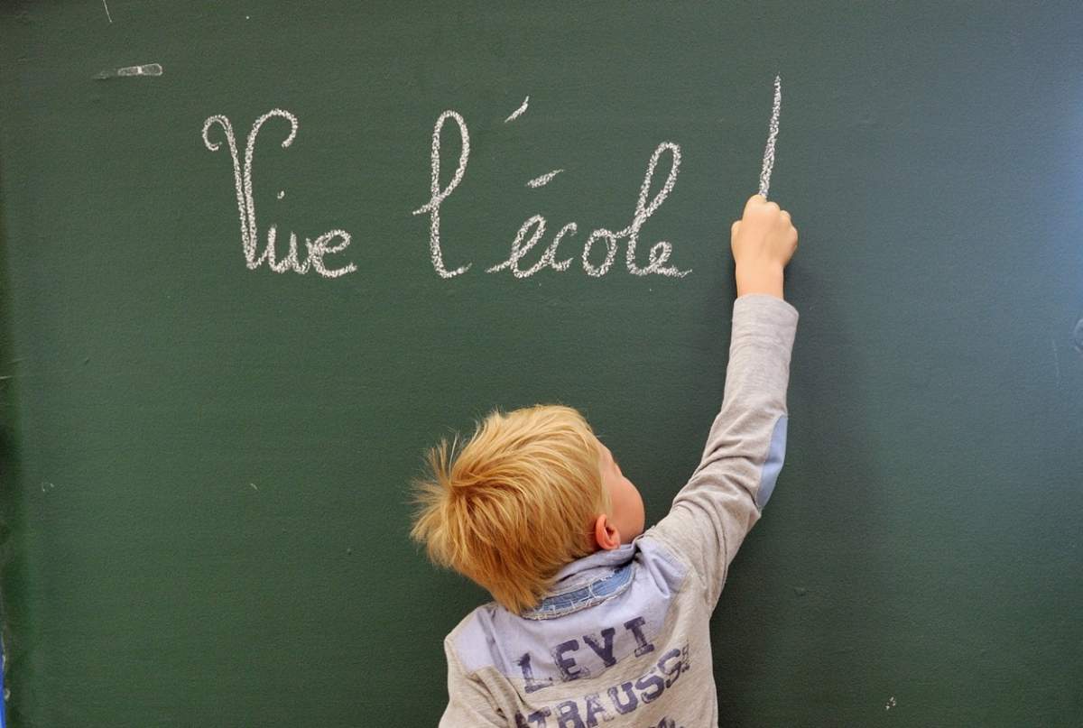 It's school board elections in Quebec -- but which school board are you voting in?.