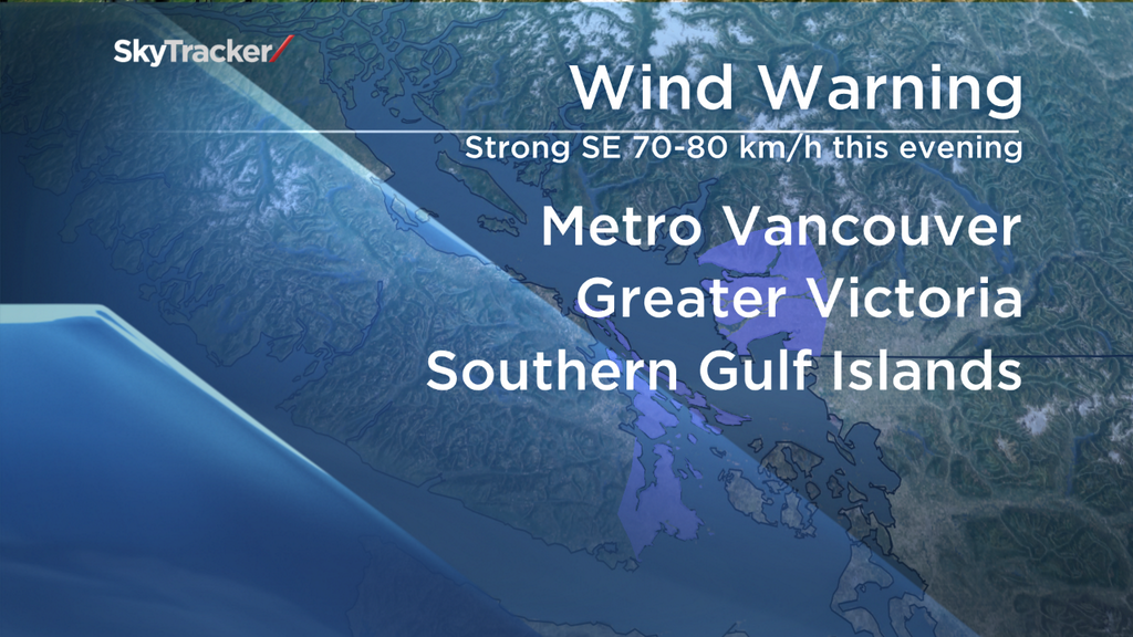 Rainfall and wind warning issued for Metro Vancouver - image