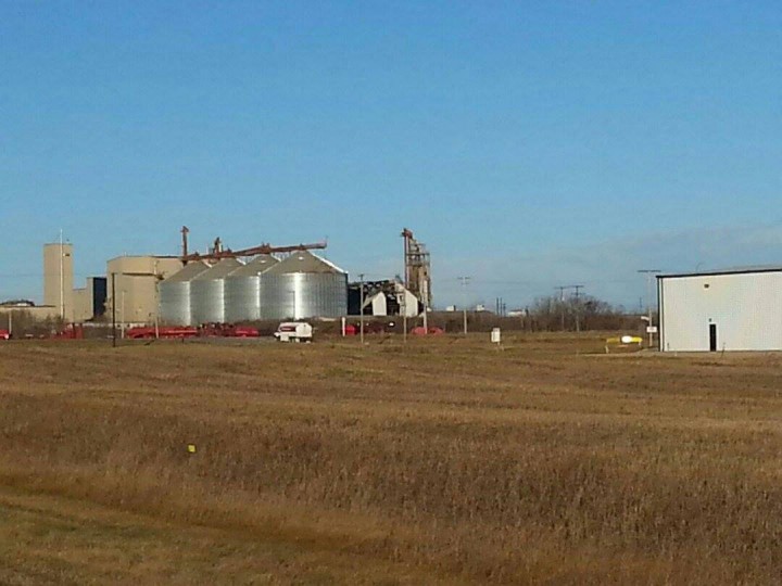 Police and fire crews are at a southeastern Saskatchewan canola-crushing plant where witnesses say an explosion occurred.