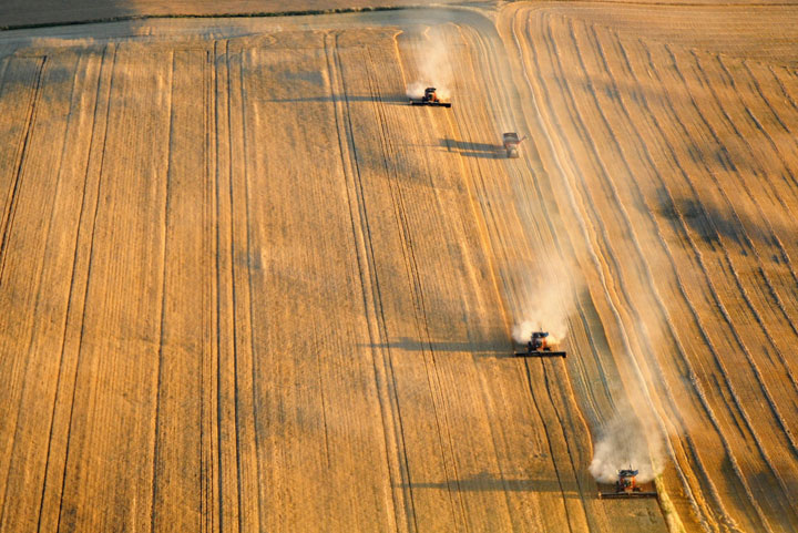 Oct. 11: This Your Saskatchewan photo was taken by Judy King at Outlook.