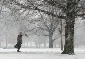Frigid and snowy weather forecast for parts of Canada amid cold snap
