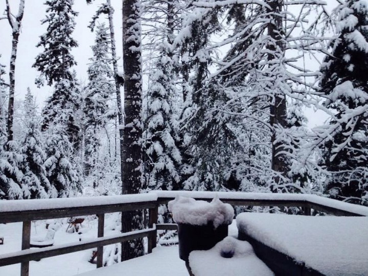 Nov. 4: This Your Saskatchewan photo was taken by Lionel Heart at Candle Lake.