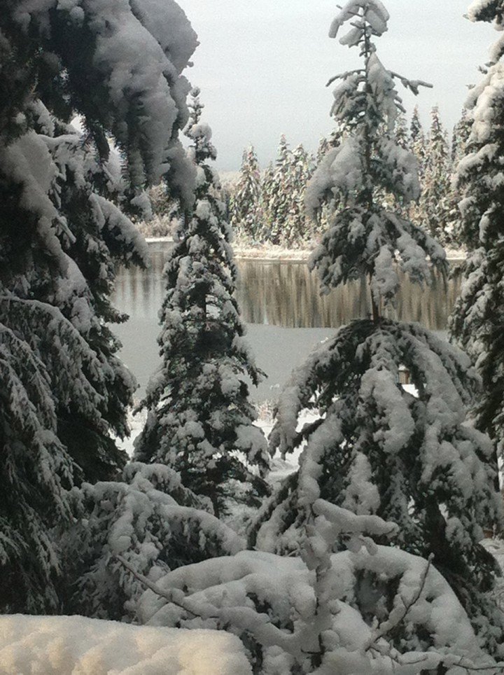 Nov. 5: This Your Saskatchewan Photo was taken by Deb Hargreaves at Savard Lake near Victoire.