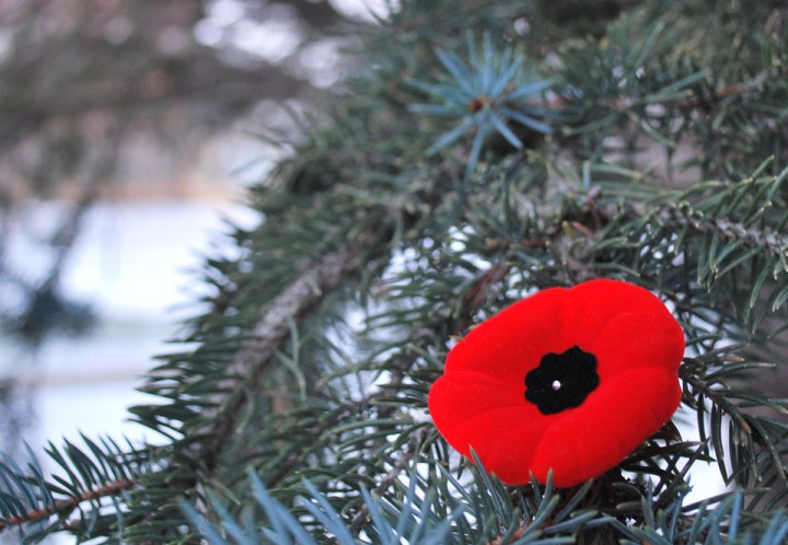 Nov. 12: This Your Saskatchewan photo was taken by Jessica Kent in Saskatoon.