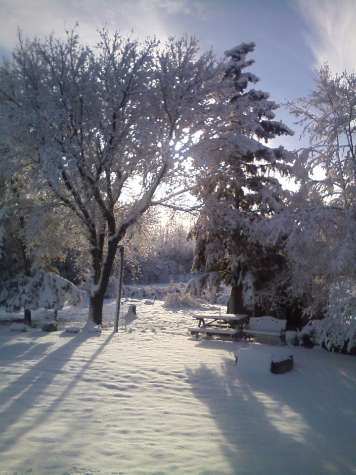 Nov. 26: This Your Saskatchewan photo was taken by Theresa Letendre at Leask.