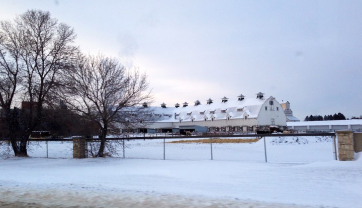Nov. 28: This Your Saskatchewan photo was taken by Rosemarie Bautista at the University of Saskatchewan in Saskatoon.