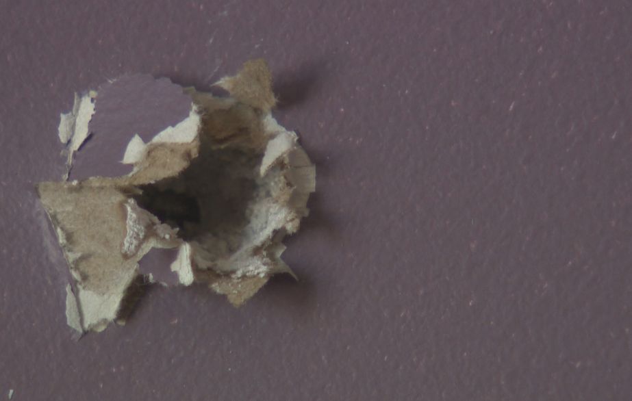 UPDATE: Shots fired into Parkland County home; couple recounts frightening ordeal - image