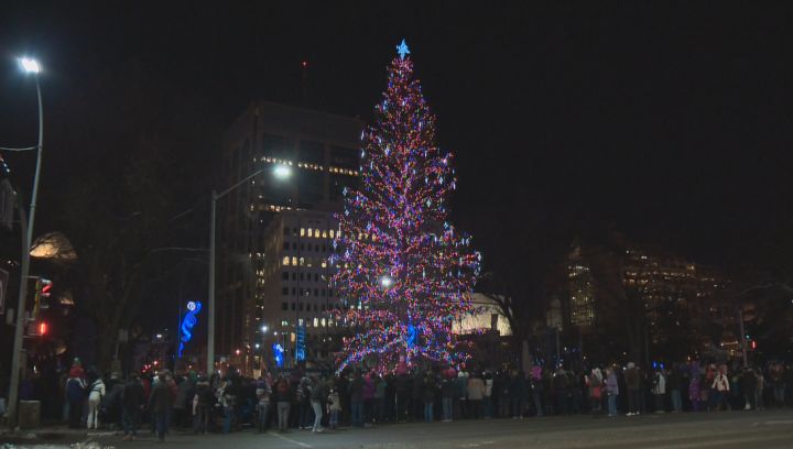 The tree in Churchill Square is lit up for the holidays Saturday, Nov. 15, 2014.