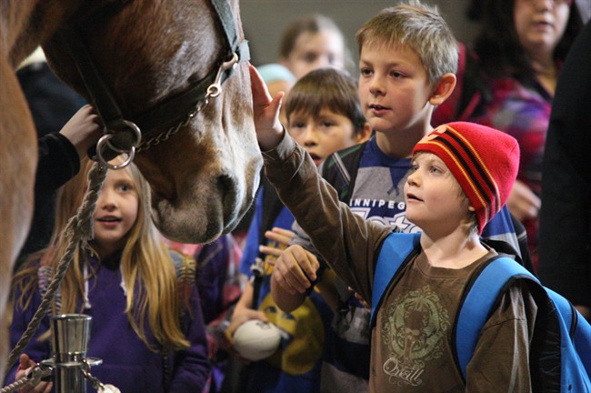 Rodeo still kicking up a storm for Agribition - image