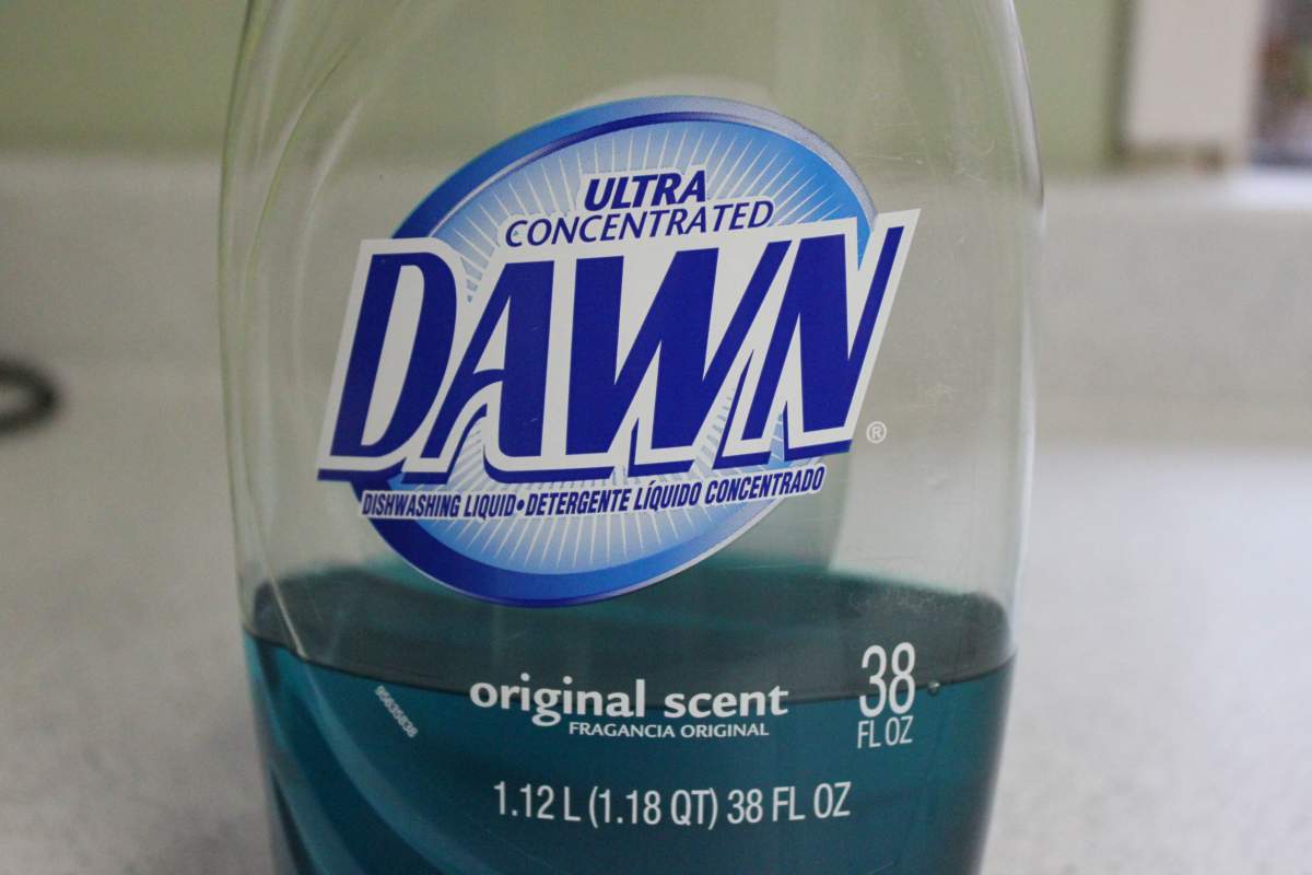 U.S. Dawn dishwashing liquid needed to clean oil-covered birds - image
