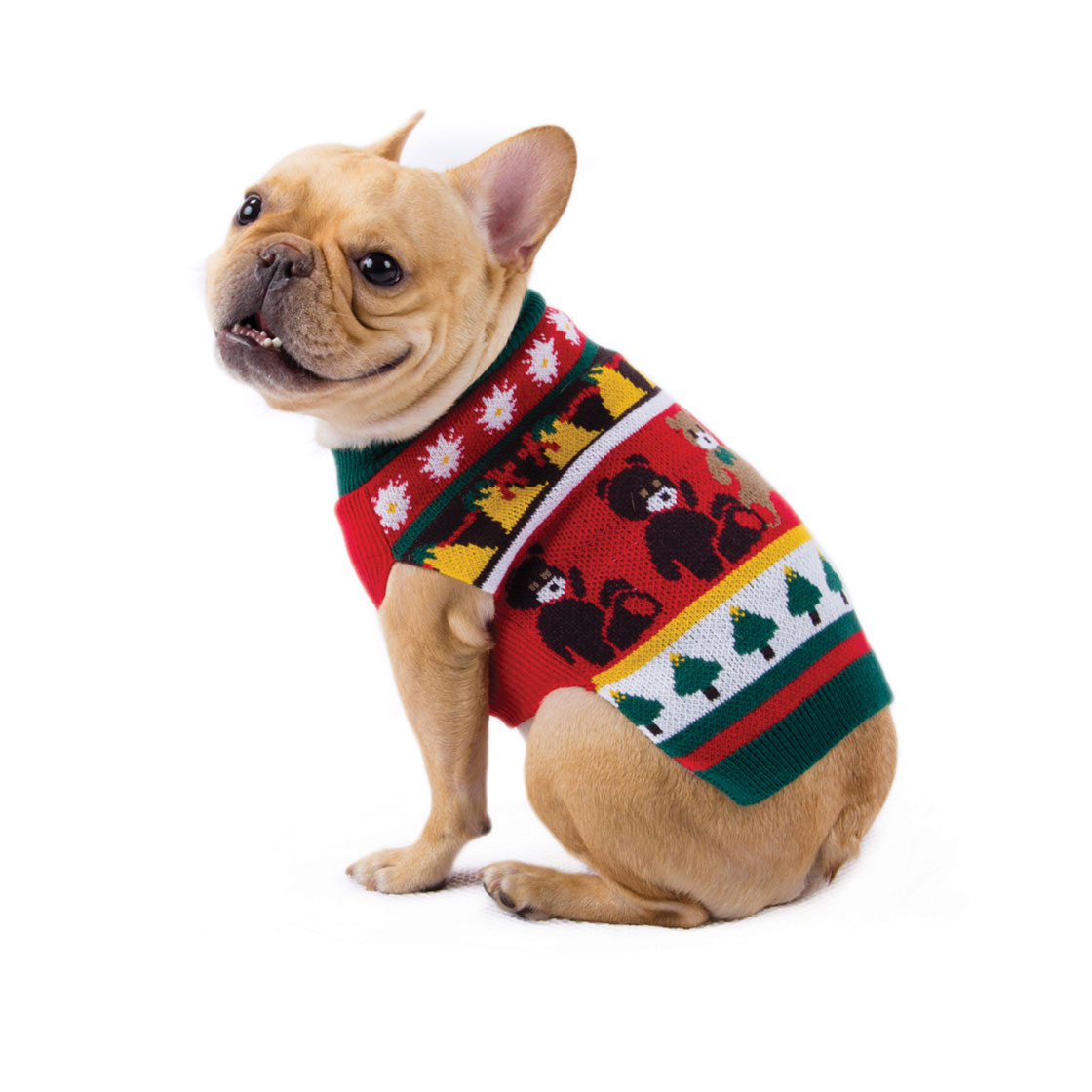 In this undated photo provided by PetSmart, Inc., Thor, a French bulldog, wears what is marketed as an 'ugly' sweater, created by Bret Michaels for his Pets Rock Line. Ugly holiday party sweaters are all the rage this year, assures PetSmart spokesman Shelly Albrecht.. So the national pet supply chain is introducing ugly sweaters from Bret Michael’s Pets Rock line.