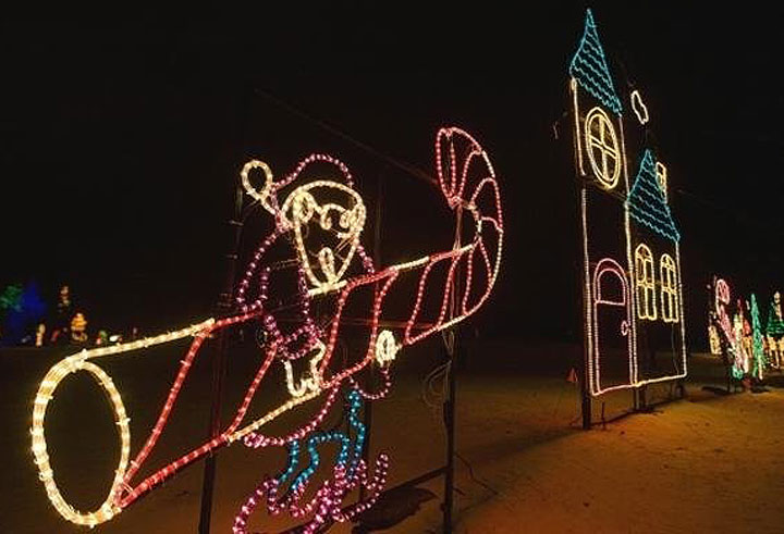 A view of the Enchanted Forest Holiday Light tour.