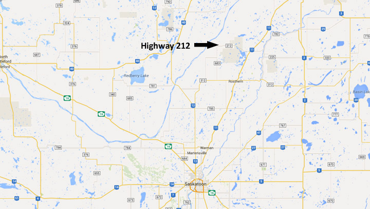 One horse killed, two others euthanized after being hit by a truck on a Saskatchewan highway.