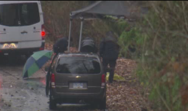 Human remains were found in Langley on Tuesday, Nov. 25.