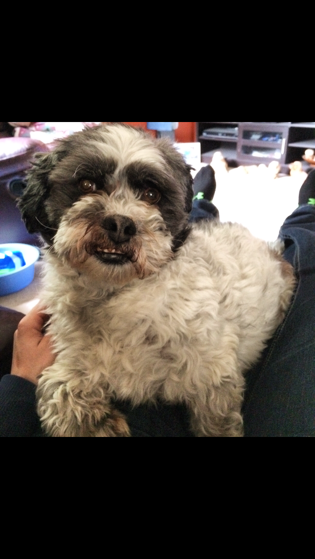 Buster was found dead Sunday morning.