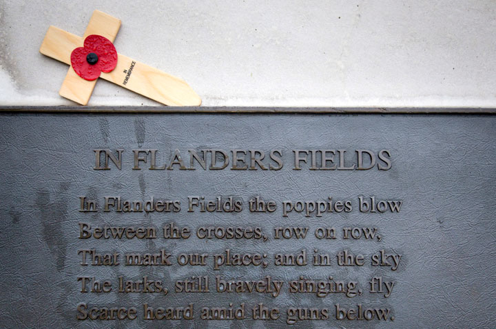 In Flanders Fields
