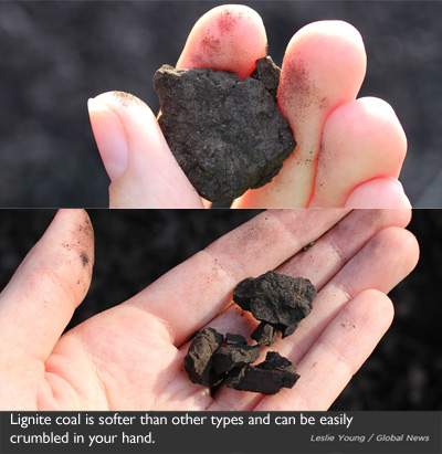 Lignite coal can be crumbled in your hand