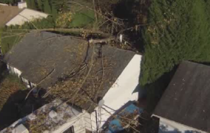 A home in Maple Ridge was badly damaged when a tree fell following a wind storm.