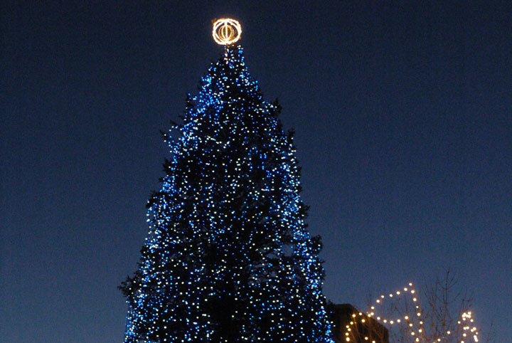 Christmas tree at Nathan Phillips Square Pictures is seen in this file photo.