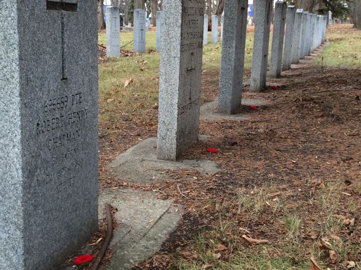 Students placed poppies on military gravestones in Edmonton on Thursday.