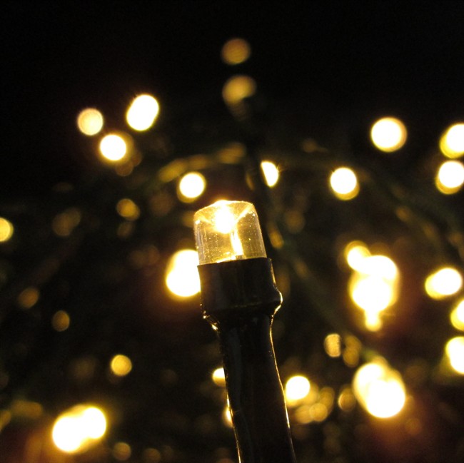 This photo provided by Lights.com shows LED lights that are an energy efficient way to deck your halls for the holidays.