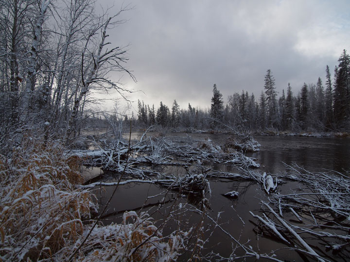 Nov. 8: This Your Saskatchewan photo was taken by Frank Burnouf in La Ronge.